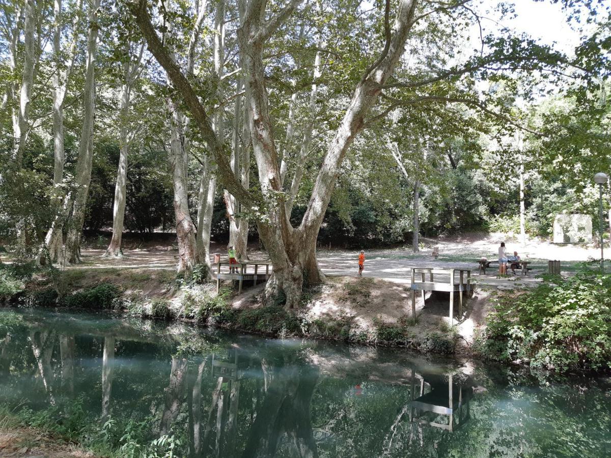 Le Mas De Tiomka Saint-Maximin  Εξωτερικό φωτογραφία